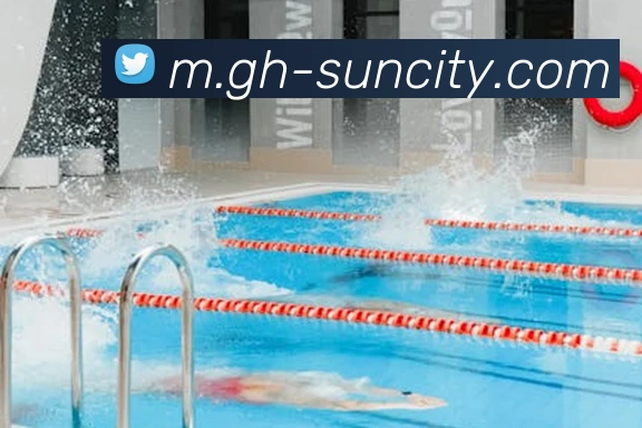 澳门太阳城网站平台生态图